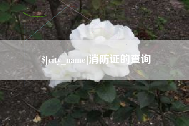 香港消防证的查询