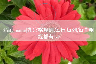 香港九宫格规则,每行,每列,每个粗线都有1-9