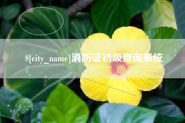 香港消防证初级查询系统
