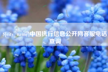 香港中国执行信息公开网客服电话查询