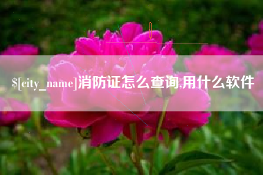 香港消防证怎么查询,用什么软件