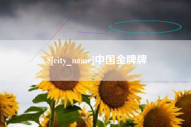 香港中国金牌牌