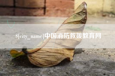 香港中国消防救援教育网