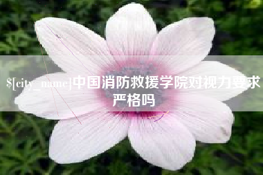 香港中国消防救援学院对视力要求严格吗