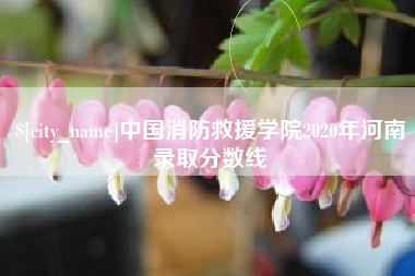 香港中国消防救援学院2020年河南录取分数线
