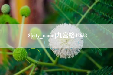 香港九宫格42633
