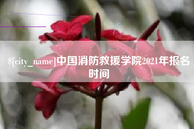 香港中国消防救援学院2021年报名时间
