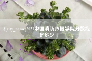 香港2021中国消防救援学院分数线是多少