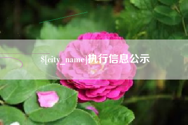 香港执行信息公示