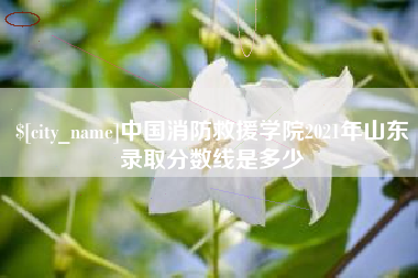 香港中国消防救援学院2021年山东录取分数线是多少