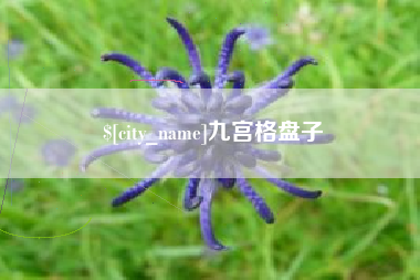 香港九宫格盘子