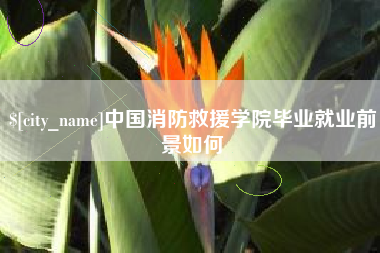 香港中国消防救援学院毕业就业前景如何