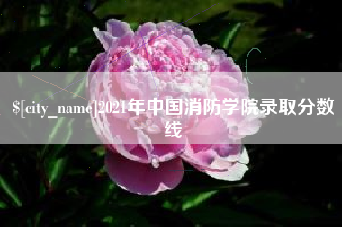 香港2021年中国消防学院录取分数线
