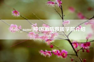 香港中国消防救援学院介绍