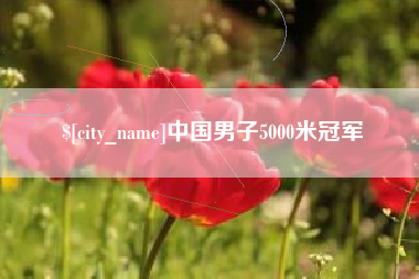 香港中国男子5000米冠军