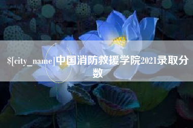 香港中国消防救援学院2021录取分数