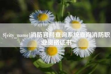 香港消防官网查询系统查询消防职业资格证书