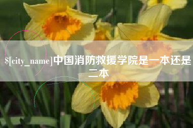香港中国消防救援学院是一本还是二本