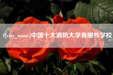 香港中国十大消防大学有哪些学校