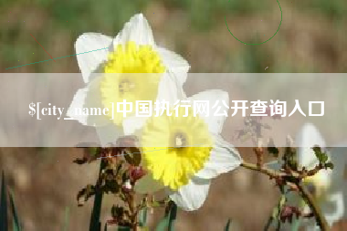 香港中国执行网公开查询入口