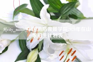 香港中国消防救援学院2020年在山东招生计划表
