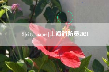 香港上海消防员2021