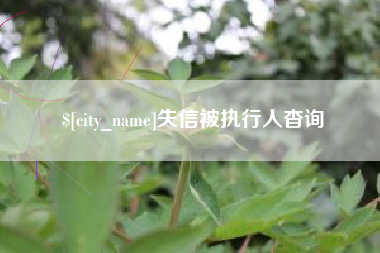 香港失信被执行人杳询