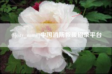 香港中国消防救援招录平台