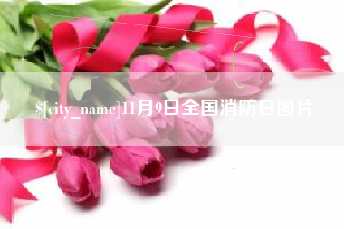 香港11月9日全国消防日图片
