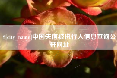 香港中国失信被执行人信息查询公开网址
