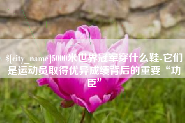 香港5000米世界冠军穿什么鞋-它们是运动员取得优异成绩背后的重要“功臣”