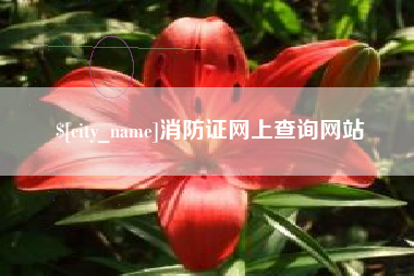 香港消防证网上查询网站