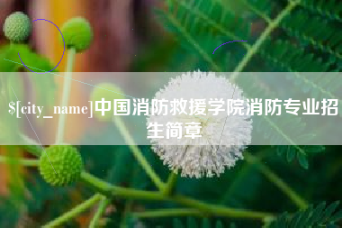 香港中国消防救援学院消防专业招生简章