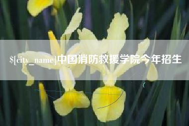 香港中国消防救援学院今年招生