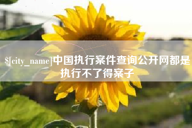 香港中国执行案件查询公开网都是执行不了得案子
