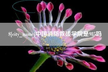 香港中国消防救援学院是985吗
