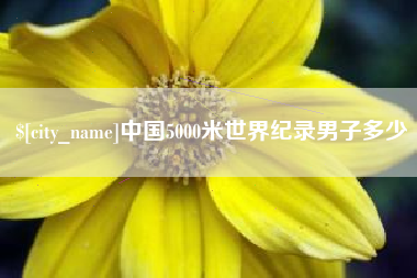 香港中国5000米世界纪录男子多少