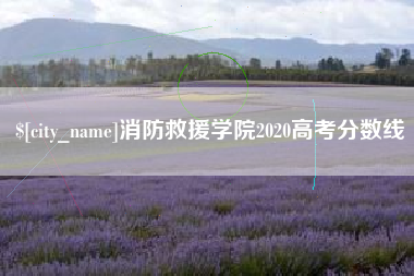 香港消防救援学院2020高考分数线