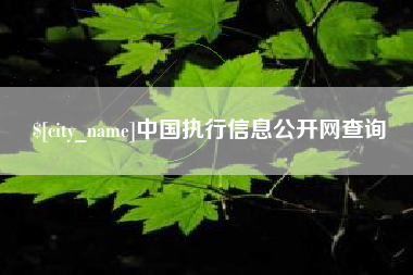 香港中国执行信息公开网查询