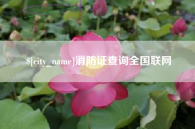 香港消防证查询全国联网