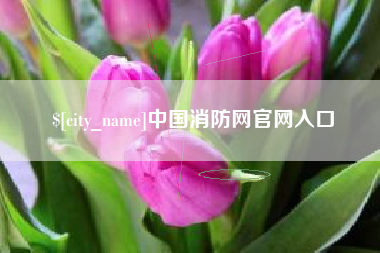 香港中国消防网官网入口