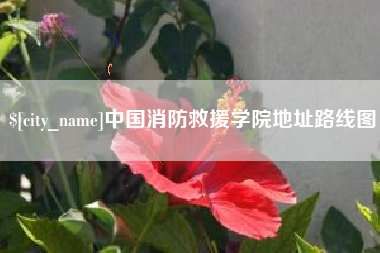 香港中国消防救援学院地址路线图
