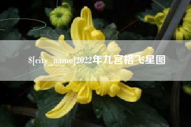 香港2022年九宫格飞星图
