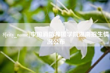 香港中国消防救援学院湖南招生情况公布