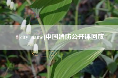 香港中国消防公开课回放