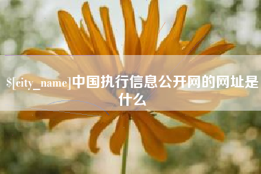 香港中国执行信息公开网的网址是什么