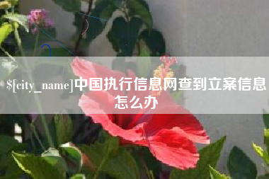 香港中国执行信息网查到立案信息怎么办