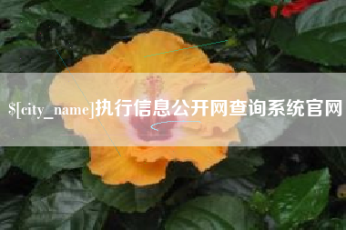 香港执行信息公开网查询系统官网