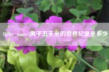 香港男子五千米的世界纪录是多少