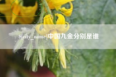 香港中国九金分别是谁